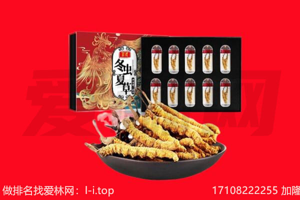 泉州市石狮回收虫草.jpg
